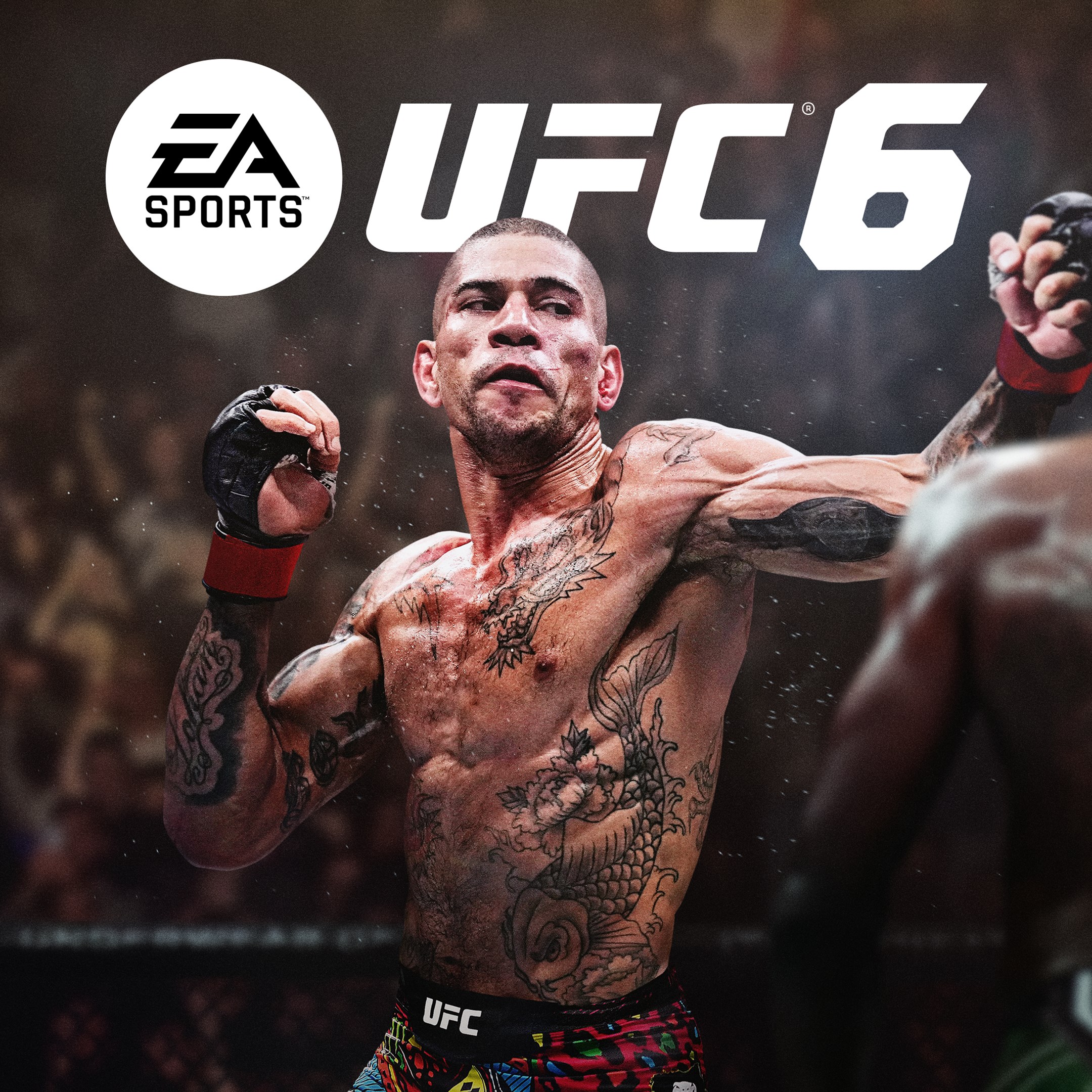 UFC 6